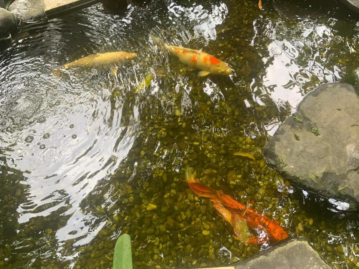 Villa Koi Keramas Buitenkant foto